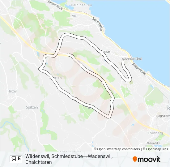 E Bus Line Map