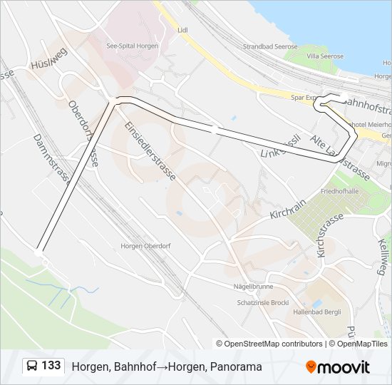 133 Bus Line Map