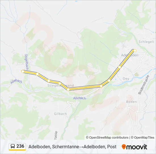 236 Bus Line Map