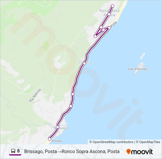 8 Bus Line Map