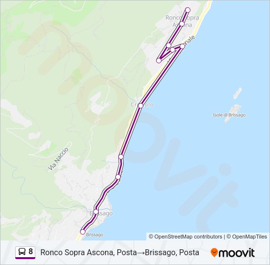 8 Bus Line Map