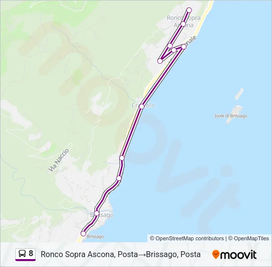 8 Bus Line Map