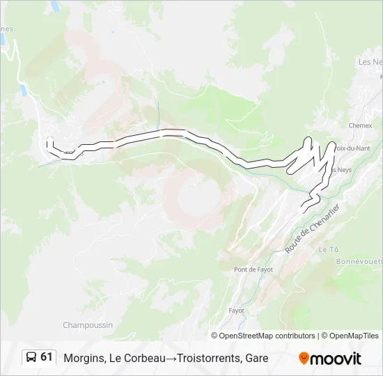 61 Bus Line Map