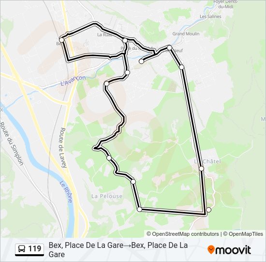119 Bus Line Map