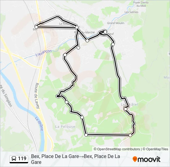 119 Bus Line Map