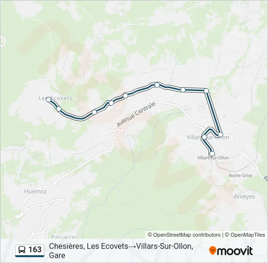 163 Bus Line Map