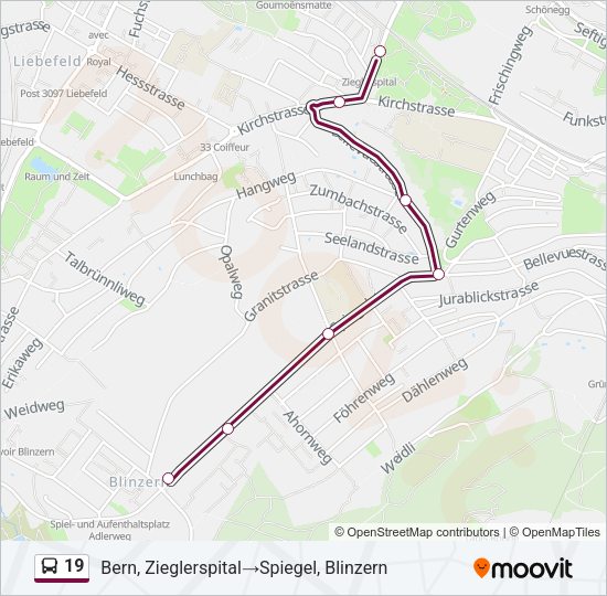 19 Bus Line Map
