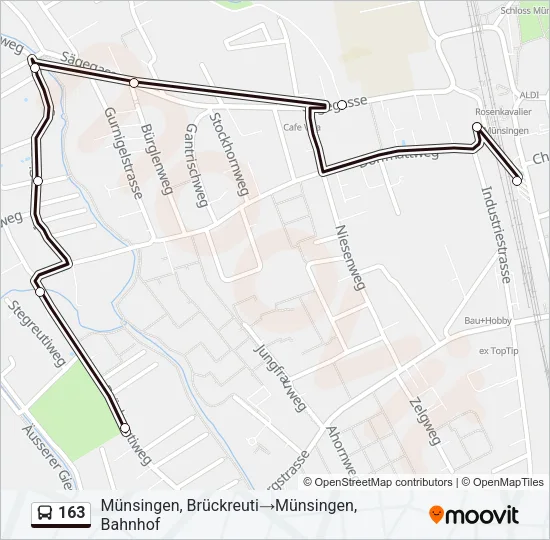 163 Bus Line Map