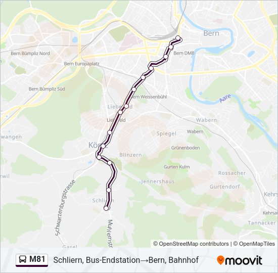 M81 Bus Line Map