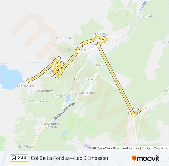 230 Bus Line Map
