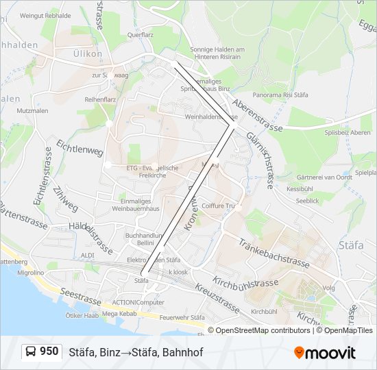 950 Bus Line Map