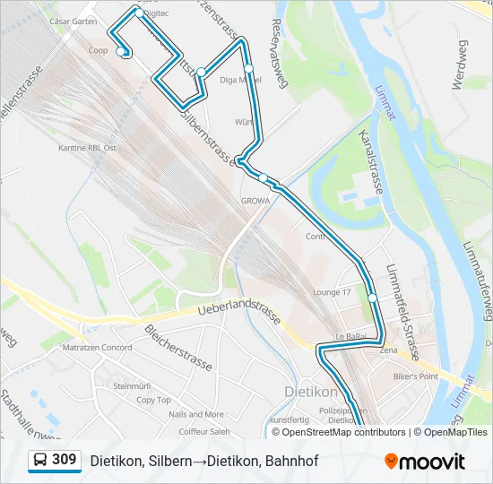 309 Bus Line Map