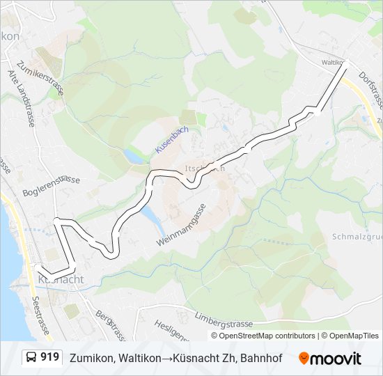 919 bus Line Map