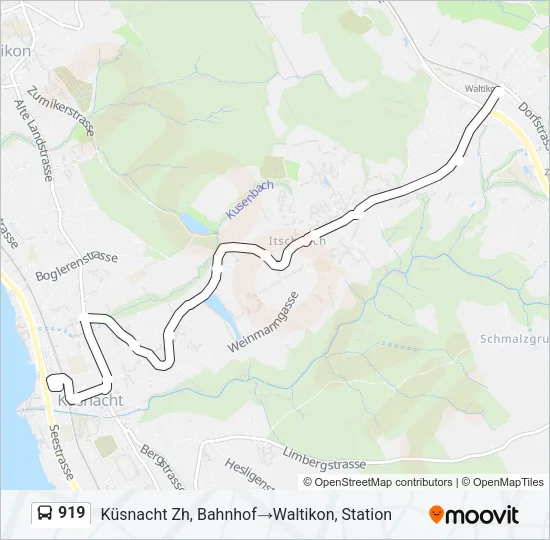 Plan de la ligne 919 de bus