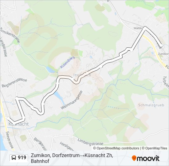 919 Bus Line Map