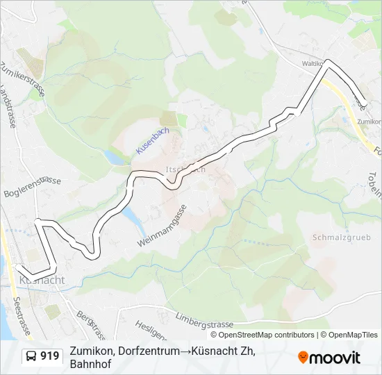 919 Bus Line Map