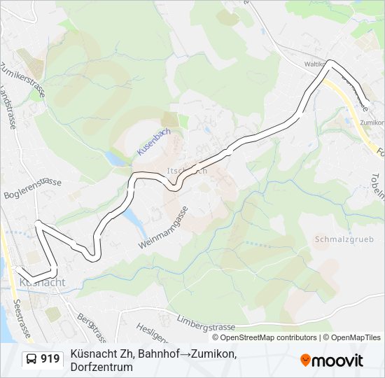 919 Bus Line Map