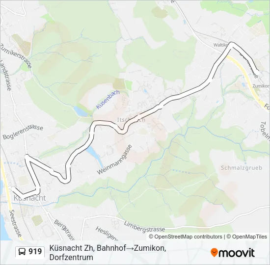 919 Bus Line Map