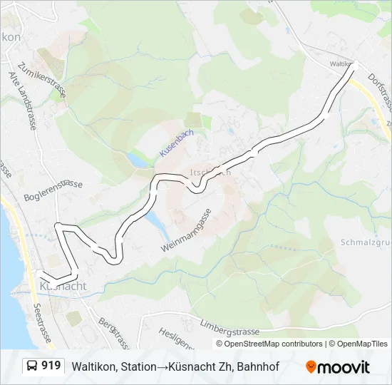 Plan de la ligne 919 de bus