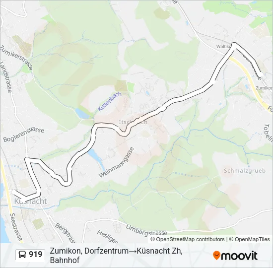 919 Bus Line Map