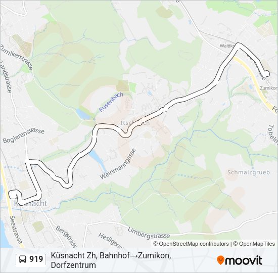 919 Bus Line Map