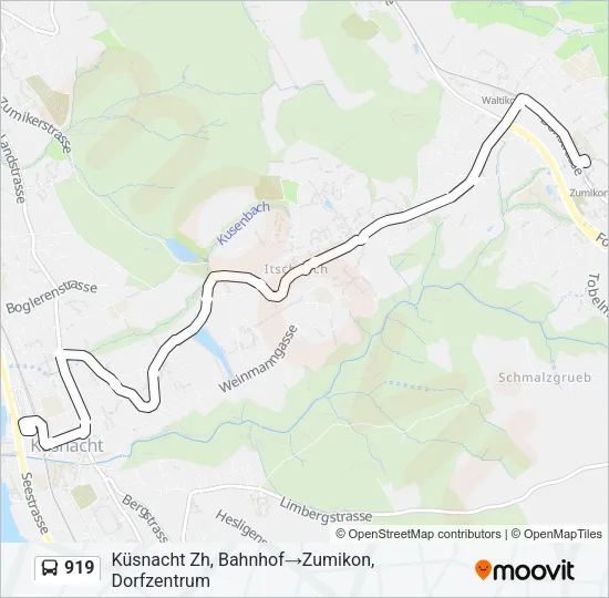 919 Bus Line Map