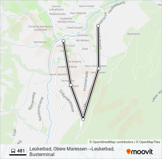 481 Bus Line Map