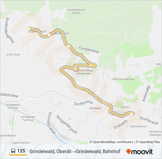 125 Bus Line Map