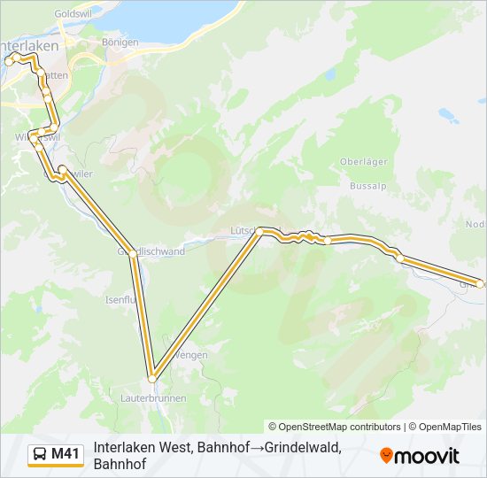 M41 Bus Line Map