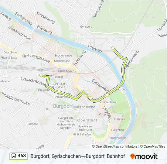 463 Bus Line Map
