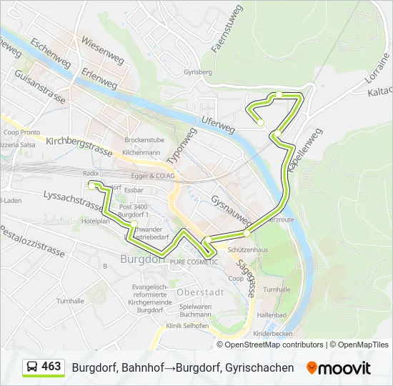 463 Bus Line Map