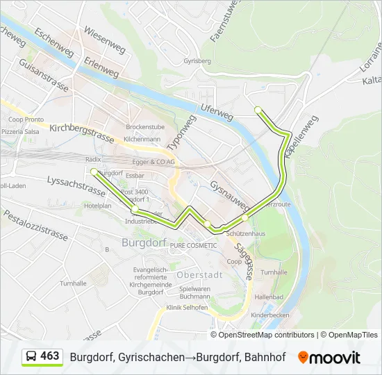 463 Bus Line Map