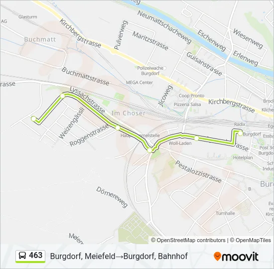 463 Bus Line Map