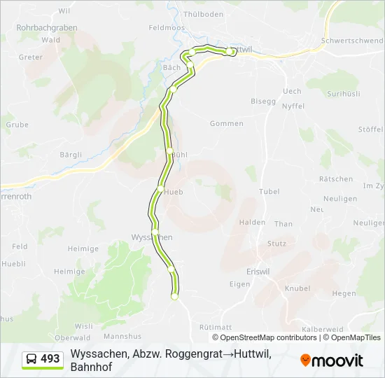 493 Bus Line Map