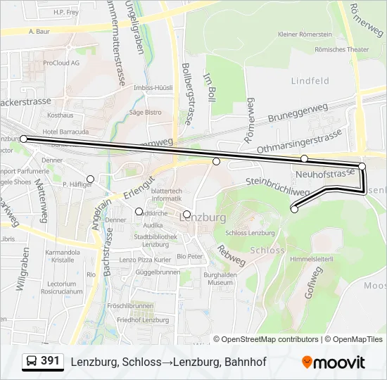 391 Bus Line Map