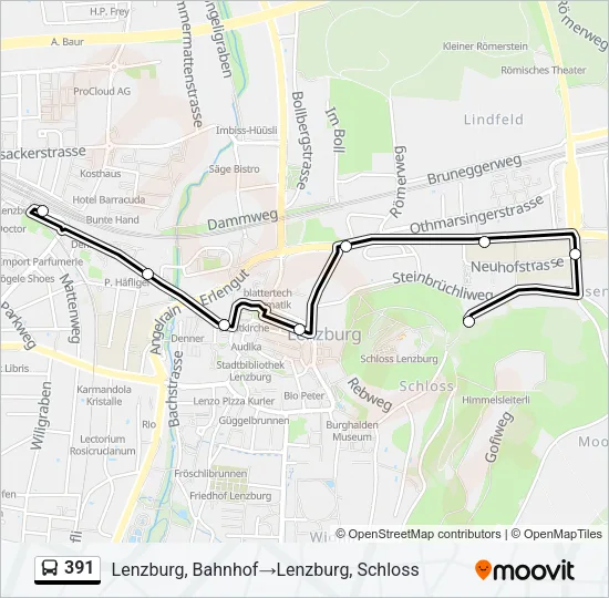 391 Bus Line Map
