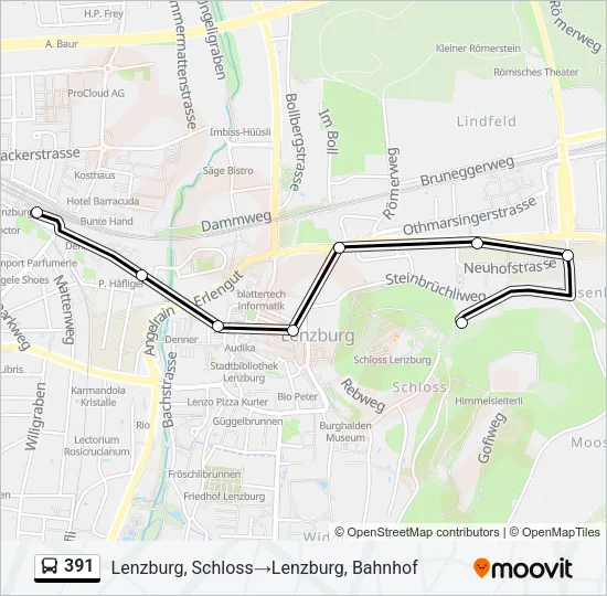 391 Bus Line Map