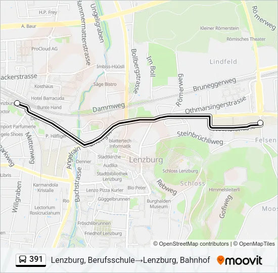 391 Bus Line Map
