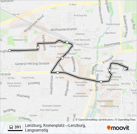 391 Bus Line Map
