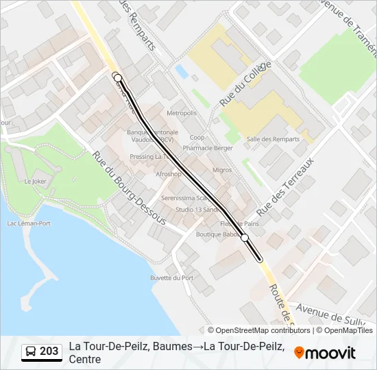 203 Bus Line Map