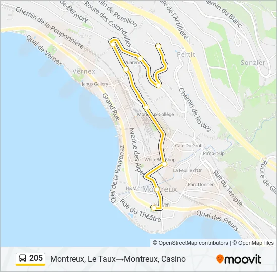 205 Bus Line Map