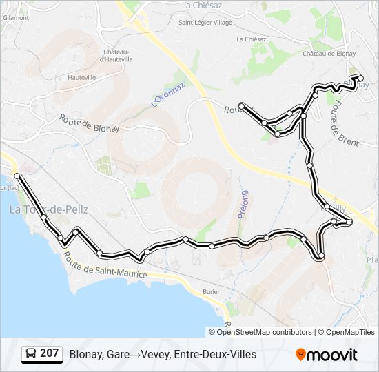 207 Bus Line Map