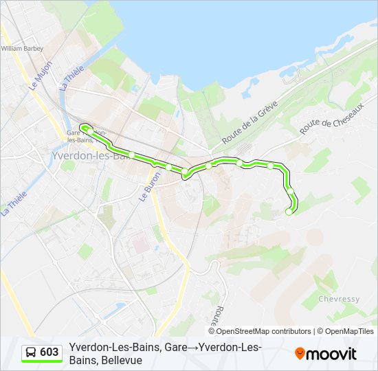 603 Bus Line Map