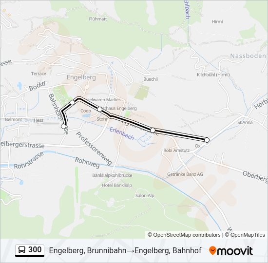 300 Bus Line Map