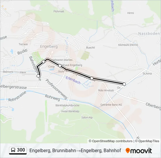 300 Bus Line Map