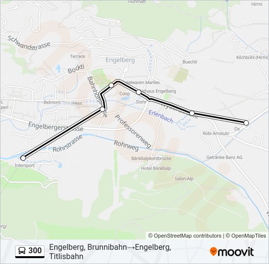 300 Bus Line Map