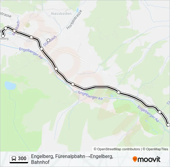 300 Bus Line Map
