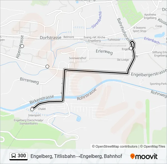300 Bus Line Map