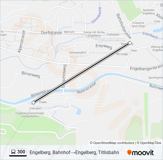 300 Bus Line Map