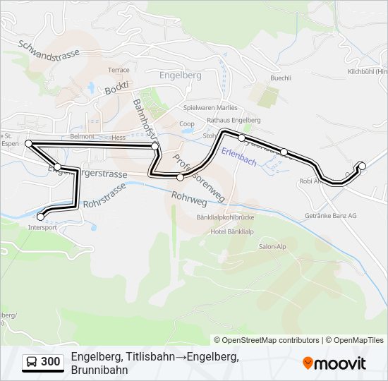 300 Bus Line Map